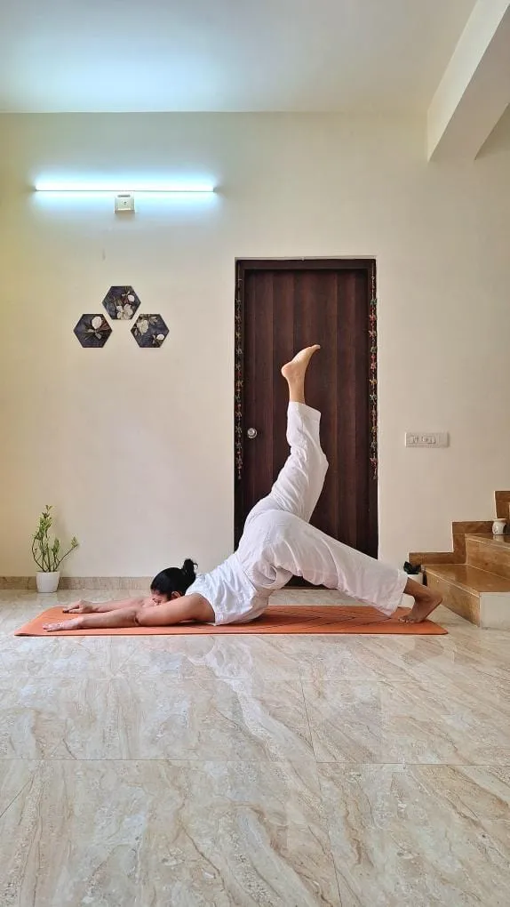 WhatsApp Image 2026-02-01 at 2.50.22 PM.webp